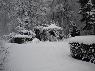 von der dammheide, Winterbilder, Teckel, 2015