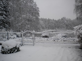 von der Dammheide, 2015, Teckel, Winter