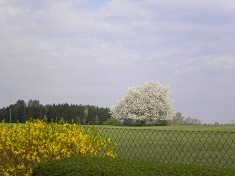 von der Dammheide, Landschaft,