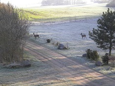 von der Dammheide, Landschaft und Aussicht,