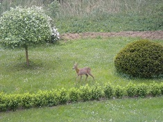 von der Dammheide, Garten, 2014