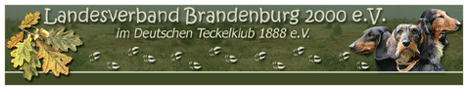 von der Dammheide, Landesverband Brandenburg 2000 e.V., GruppeKönigs Wusterhausen